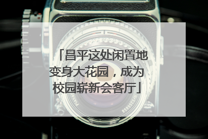 昌平这处闲置地变身大花园，成为校园崭新会客厅