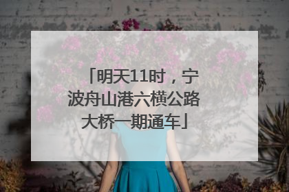 明天11时，宁波舟山港六横公路大桥一期通车