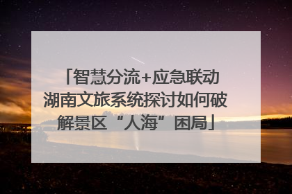 智慧分流+应急联动 湖南文旅系统探讨如何破解景区“人海”困局
