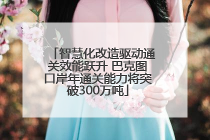 智慧化改造驱动通关效能跃升 巴克图口岸年通关能力将突破300万吨
