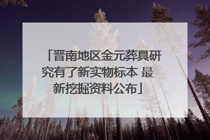 晋南地区金元葬具研究有了新实物标本 最新挖掘资料公布