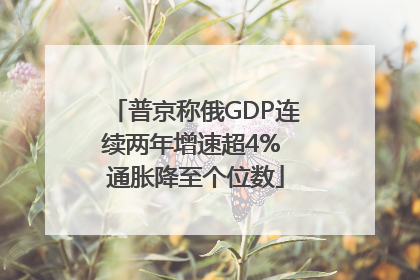 普京称俄GDP连续两年增速超4% 通胀降至个位数