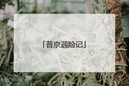 普京遇险记