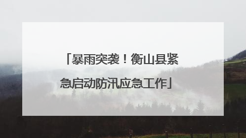 暴雨突袭！衡山县紧急启动防汛应急工作
