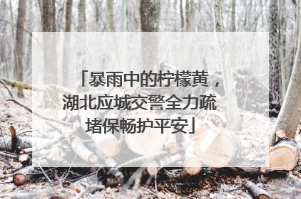 暴雨中的柠檬黄，湖北应城交警全力疏堵保畅护平安