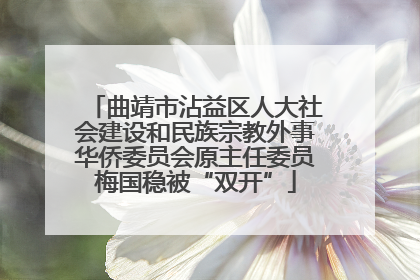 曲靖市沾益区人大社会建设和民族宗教外事华侨委员会原主任委员梅国稳被“双开”