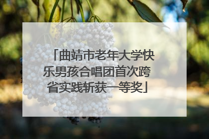 曲靖市老年大学快乐男孩合唱团首次跨省实践斩获一等奖
