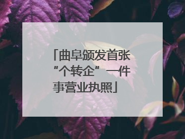 曲阜颁发首张“个转企”一件事营业执照