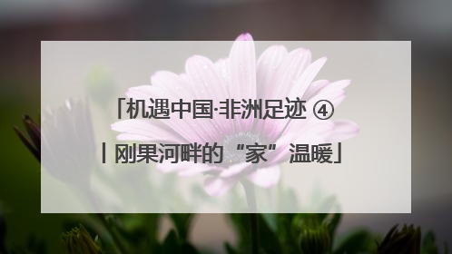 机遇中国·非洲足迹 ④丨刚果河畔的“家”温暖