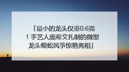 最小的龙头仅重0.6克！手艺人庞希文扎制的微型龙头蜈蚣风筝惊艳亮相