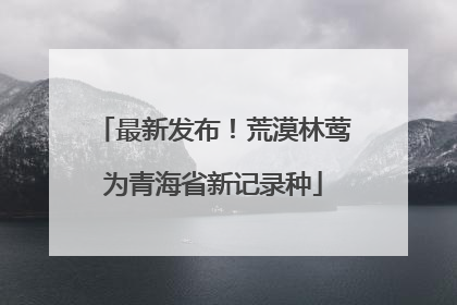 最新发布！荒漠林莺为青海省新记录种