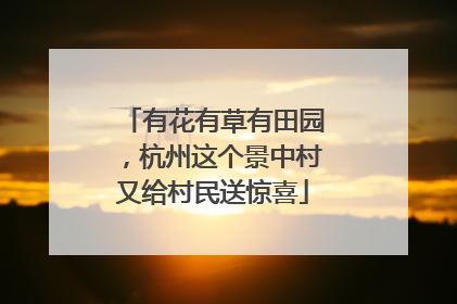 有花有草有田园，杭州这个景中村又给村民送惊喜