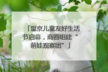 望京儿童友好生活节启幕，商圈组建“萌娃观察团”