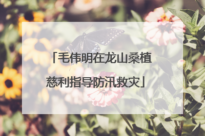 毛伟明在龙山桑植慈利指导防汛救灾