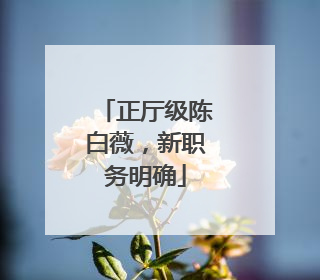 正厅级陈白薇，新职务明确
