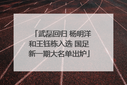 武磊回归 杨明洋和王钰栋入选 国足新一期大名单出炉