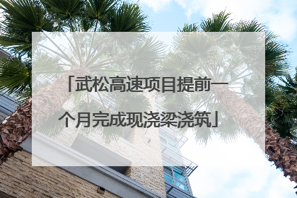 武松高速项目提前一个月完成现浇梁浇筑