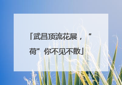 武昌顶流花展，“荷”你不见不散
