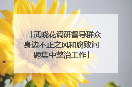 武晓花调研督导群众身边不正之风和腐败问题集中整治工作