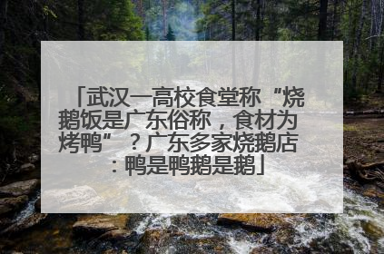 武汉一高校食堂称“烧鹅饭是广东俗称，食材为烤鸭”？广东多家烧鹅店：鸭是鸭鹅是鹅