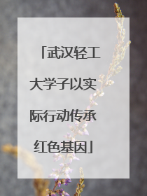 武汉轻工大学子以实际行动传承红色基因