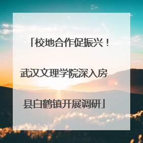 校地合作促振兴！武汉文理学院深入房县白鹤镇开展调研