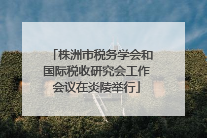 株洲市税务学会和国际税收研究会工作会议在炎陵举行