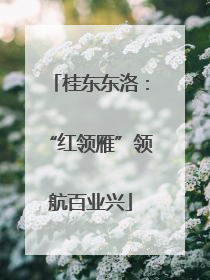 桂东东洛：“红领雁”领航百业兴