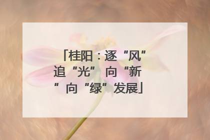 桂阳：逐“风”追“光” 向“新”向“绿”发展