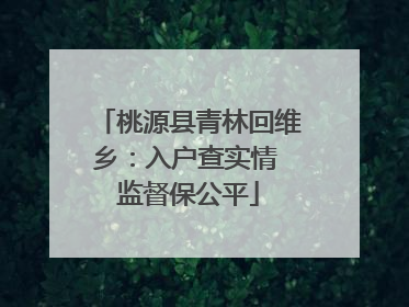 桃源县青林回维乡：入户查实情 监督保公平