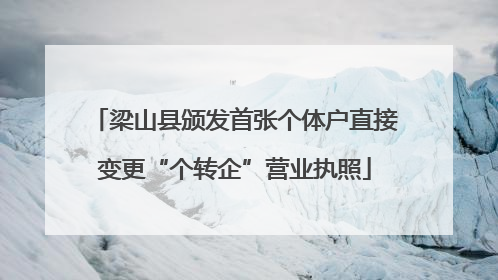 梁山县颁发首张个体户直接变更“个转企”营业执照