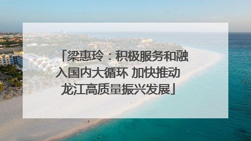梁惠玲：积极服务和融入国内大循环 加快推动龙江高质量振兴发展