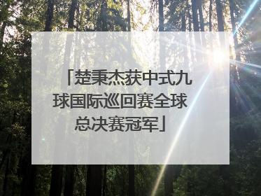 楚秉杰获中式九球国际巡回赛全球总决赛冠军