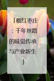 榴红枣庄：千年丝路的味觉传承与产业新生