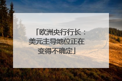 欧洲央行行长：美元主导地位正在变得不确定