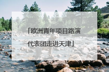 欧洲青年项目路演代表团走进天津
