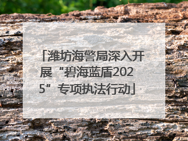 潍坊海警局深入开展“碧海蓝盾2025”专项执法行动