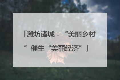潍坊诸城：“美丽乡村”催生“美丽经济”