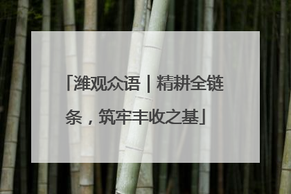 潍观众语｜精耕全链条，筑牢丰收之基
