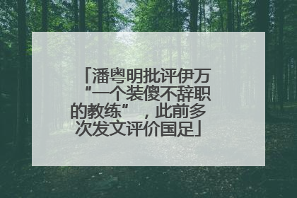 潘粤明批评伊万“一个装傻不辞职的教练”，此前多次发文评价国足