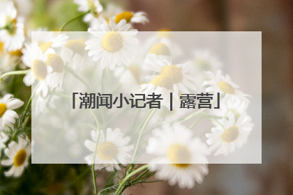 潮闻小记者｜露营