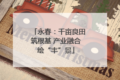 永春：千亩良田筑根基 产业融合绘“丰”景