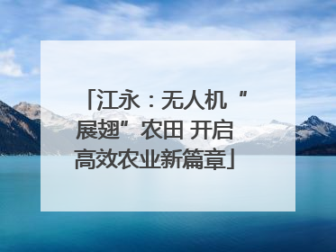 江永：无人机“展翅”农田 开启高效农业新篇章