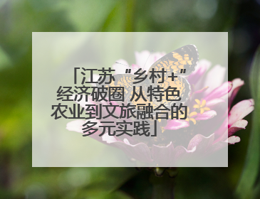 江苏“乡村+”经济破圈 从特色农业到文旅融合的多元实践