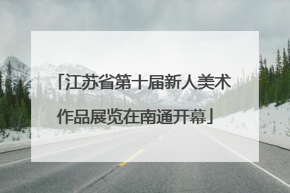 江苏省第十届新人美术作品展览在南通开幕