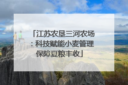 江苏农垦三河农场：科技赋能小麦管理保障夏粮丰收