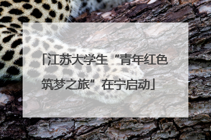 江苏大学生“青年红色筑梦之旅”在宁启动