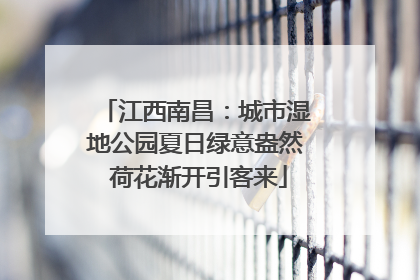 江西南昌：城市湿地公园夏日绿意盎然 荷花渐开引客来