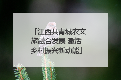 江西共青城农文旅融合发展 激活乡村振兴新动能