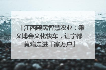 江西颐民智慧农业：乘文博会文化快车，让宁都黄鸡走进千家万户